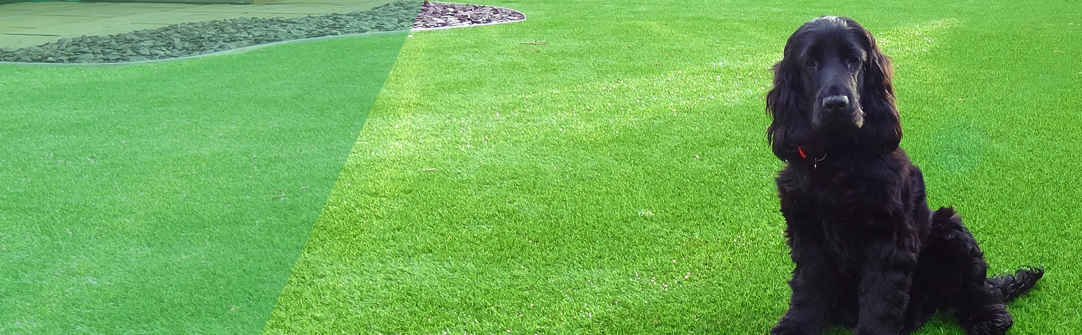 A RELVA ARTIFICIAL É UMA ALTERNATIVA ECONÓMICA?